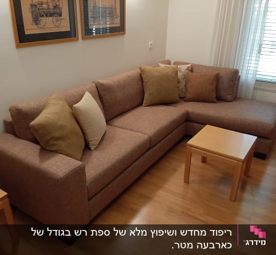 כריות על ספה חומה בסלון